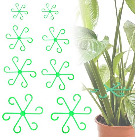 8 Pièces Support Plante Tiges, Attache Plante Grimpante, Clips de Support pour Plantes, Réutilisable Anneau Tige Support Plantes, Supports Monstera pour Stabilisation et Soutien des Feuilles (1/5)