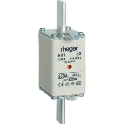 HAGER LNH1250M NH1 GG FUSIBLE NH 500 V 250 A DÉTECTEUR K