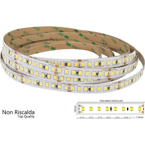 24V Bobina Striscia LED 12W/M 165LM/W 2000LM/M 3 Step Bianco Freddo 6000K 800 SMD 2835 5 Metri IP20 (1/3)
