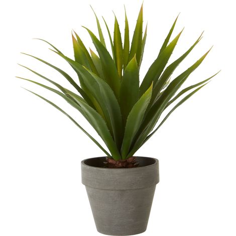Premier Housewares Fiori Agave Succulent Artifical Plant (1/5)