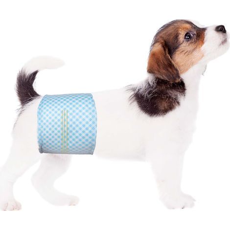 Lot de 20 Couches jetables pour Chien mâle, Taille XS, Couches Douces pour Chiens mâles, Super Absorbantes et Anti-fuites avec Indicateur d'humidité (1/5)