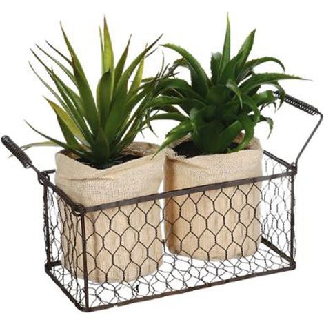 Lot de 2 Aloe Vera & Panier "Well" 23cm Vert (1/2)