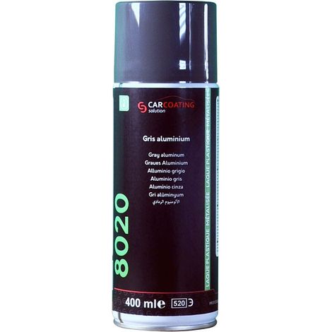 Laque de Retouche D-8020 Renault Métallisée - Gris Aluminium (1/2)