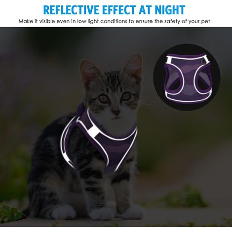 Harnais pour chat avec laisse réglable, ensemble de marche confortable et respirant, gilet réfléchissant sécurisé pour chaton (1/5)