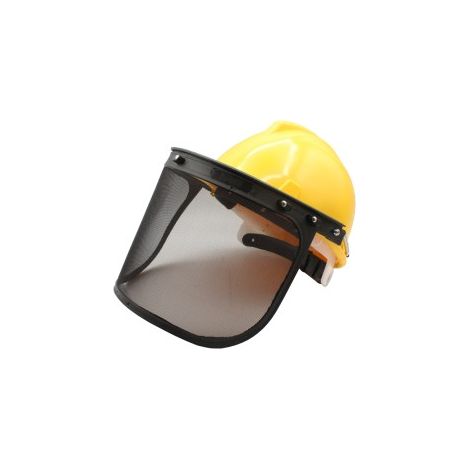 SCHERMO +CASCO+ RETE (1/4)