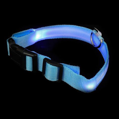 Collier lumineux pour chien avec lampe torche rechargeable (1 pièce) pour plus de sécurité (1/5)