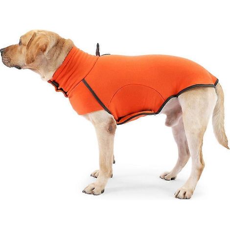 Ropa para perros en otoño e invierno. (1/5)