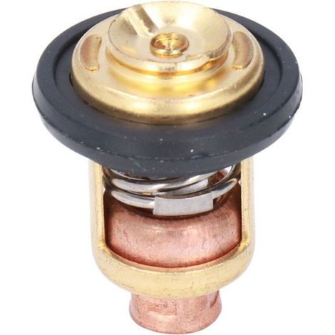 Thermostat Moteur Bateau - 60 C - Pour Moteur Hors-Bord 4 Temps - Compatible Modèles F2.5 à F100 - Pièce de Rechange ×1 (1/4)