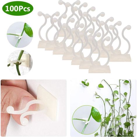 100 Stück Kletterpflanzenbinder, Klebeclips für Gartenpflanzen, Wandbefestigung (1/5)