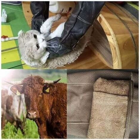 Gants de manipulation des animaux pour chien chat oiseau serpent perroquet lézard, anti-morsure / scratch jardinage des animaux sauvages protection gants (1/2)