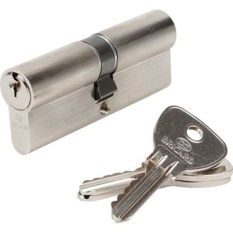 Cylindre De Serrure Bricard Alpha Débrayable L.40 + 40 Mm
