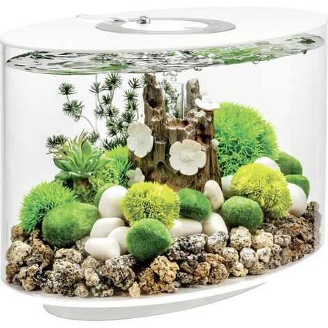 [GEBRAUCHT] B-Ware Oase Aquarium Fischbecken Bi Orb Loop 15 Led Weiß Acryl Innen Komplettset Filter