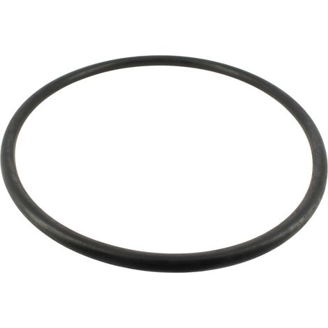 Joint couvercle prefiltre serie s-5p2r ru9229 - pompe de piscine sta-rite (1/2)