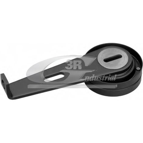 3RG 10243 RODILLO TENSOR