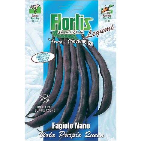 SEMI IN BUSTA FAGIOLO N.PURPLE QUEEN70G (1/2)