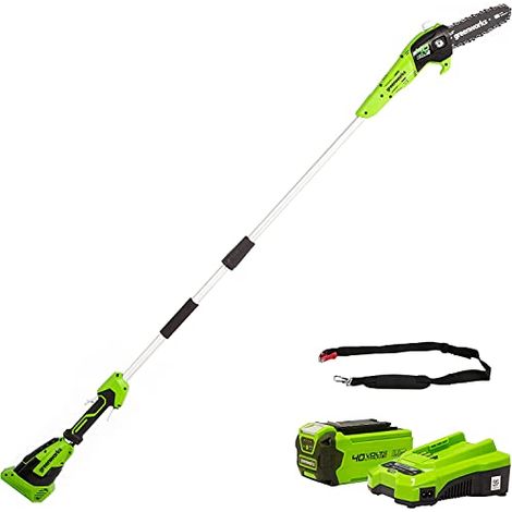 Greenworks- G40PSFK2 Élagueuse sur Perche, Longueur des barres 8 Pouces (20cm), Vitesse 8 m/s, 3,64 kg, Graisseur Automatique, Portée 2.58 m, Batterie 40V 2Ah, Chargeur, Garantie 3 Ans (1/4)