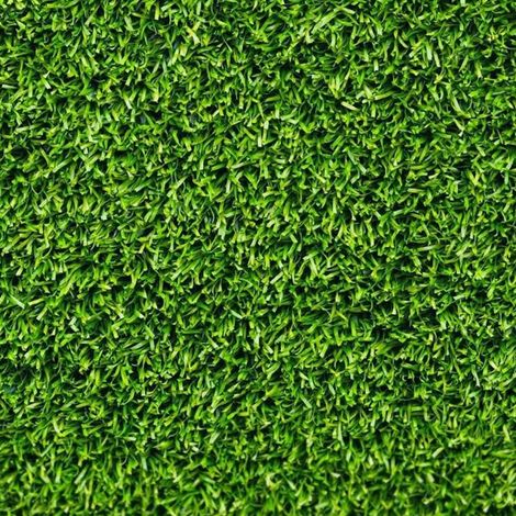 Semi di prato rustico piante per orto e giardino coltivazione domestica e professionale kg 1