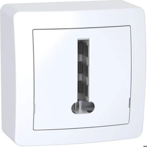 Schneider Electric ALRÉA connettore telefonico bianco polare