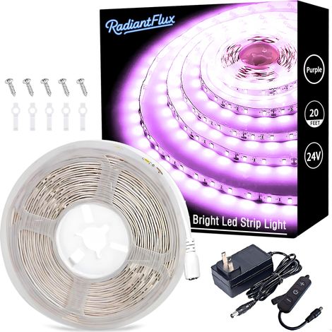 XEPHO Bande LED violette de 6 m avec variateur physique, bande lumineuse 24 V ultra-lumineuse, idéale pour la décoration du salon, des fêtes, des meubles et autres espaces lumineux. (1/5)