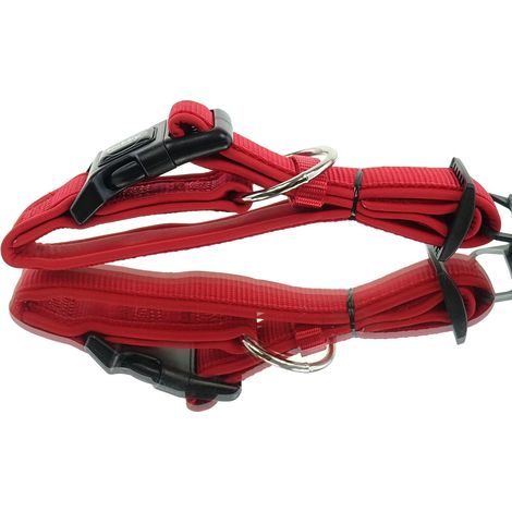 Nobby® Hunde Halsband Classic Preno Rot Größe S - M (1/3)