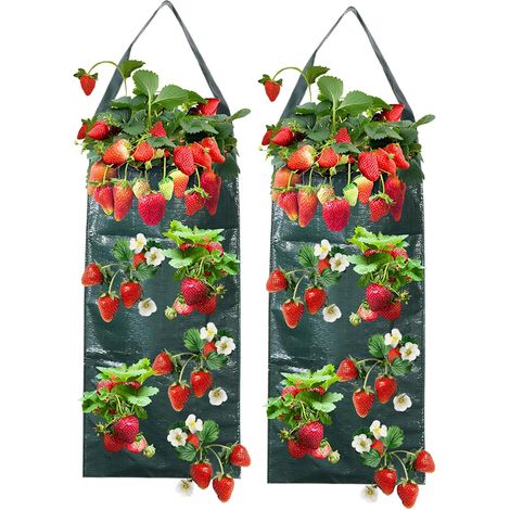 2 Pièces Sac de plantation,PE,Sac de culture respirant avec 8 trous,Sac de suspension,Fraises et légumes,Balcon et terrasse (1/5)