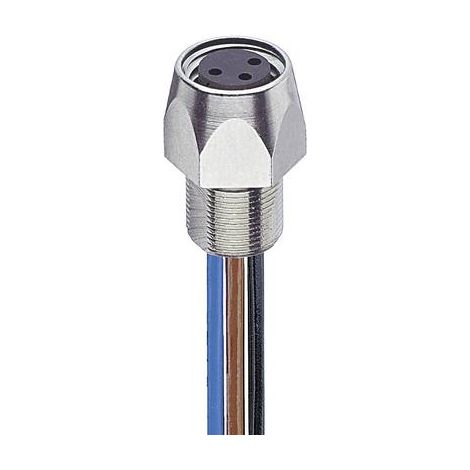 Lumberg Automation 11291-1 Connettore confezionato per sensore o attuatore M8 Presa 0.50 m Numero di poli: 3 1 pz.