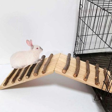 Jeux d'escalade pour hamsters, cobayes, gerbilles, souris, escaliers pour hamsters nains (1/4)