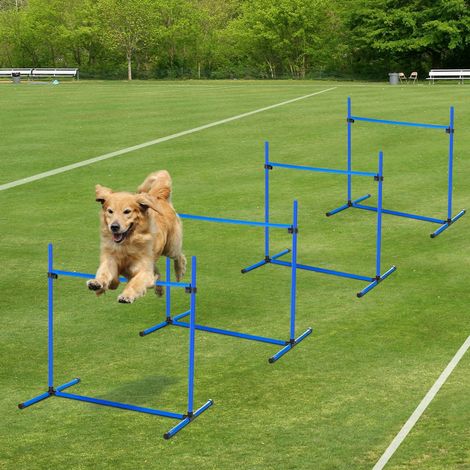 Kit d'agility pour chien comprenant 4 obstacles professionnels, un système de support au sol et un sac de transport.
