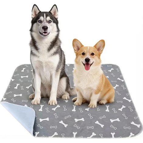 Tapis De Propreté Chien, Tapis Pipi Chien Lavable, Réutilisable, Antidérapant Et Etanche, Les Alèses pour Chien pour Tous Les Gabarits De Chats Et De Chiens(Gris) (1/5)
