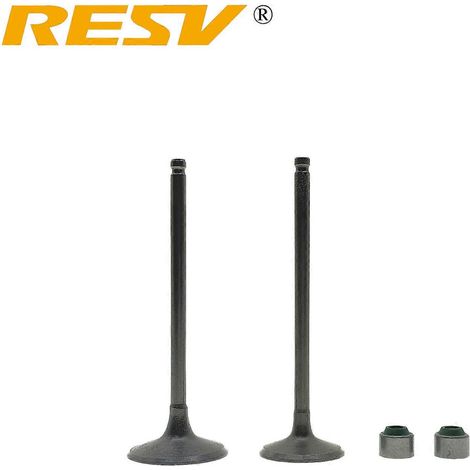 Adecuado para KAWASAKI KLX 250 300 Loncin YF300 VOGE 300 SUZUKI Djebel 250 DR250 DR-Z 250cc Retén de aceite del vástago de la válvula de admisión y escape (1 par de válvulas) (1/4)