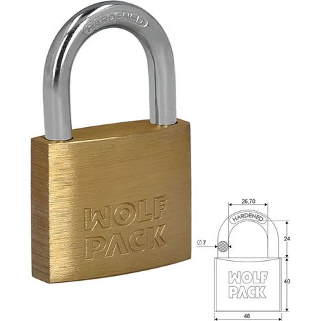 Cadenas en laiton avec arc normal 50 mm. (1/2)