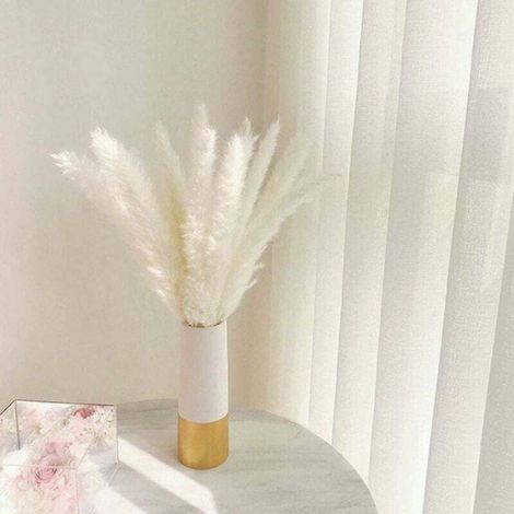 30 pcs Herbe de la Pampa, 58 cm Naturel Pampa Fleur Bouquet de Fleurs Sechees pour Vases, Blanc Boho Decoration Chambre Maison Sal (1/4)