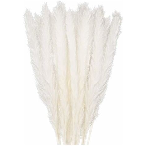Pair 30 pcs Herbe de la Pampa, 45 cm Naturel Pampa Fleur Bouquet de Fleurs Sechees pour Vases, Blanc Boho Decoration Chambre Maison Salon, Mariage Photographier Table Décoration (1/4)