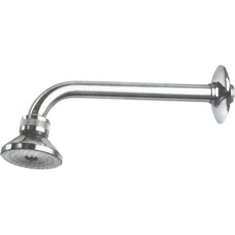 Ducha de Brazo Cromado mm 62X300