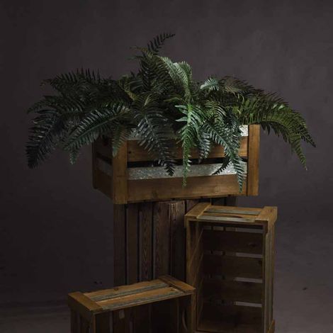 Fern Bunch Artificial Plant - Fabric/Plastic - L80 x W57 x H60 cm - Green