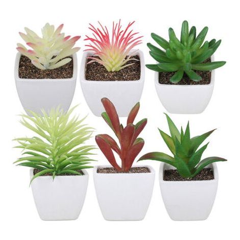 Pot carré en plastique pour plantes succulentes, ensemble de 6 pièces, Simulation de décoration de maison, ensemble de bonsaï pour plantes succulentes (1/5)