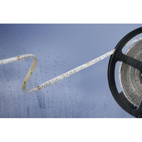 Barthelme 51540234 51540234 LED-Streifen mit offenem Kabelende 24 V 5 m Kaltweiß 1 St.