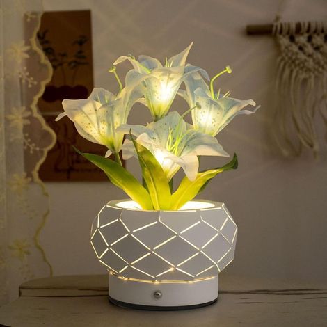 GDHZS- Veilleuse dans un pot géométrique en fer,3couleurs de lampes de table à intensité variable,convient pour les tables de chevet des enfants,décoration (1/5)