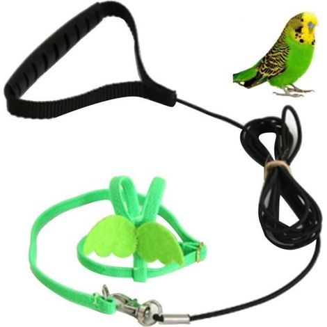 2m Pet Bird Harness Leash - Green - Anti-Escape Design - Soft Cotton (1/4)