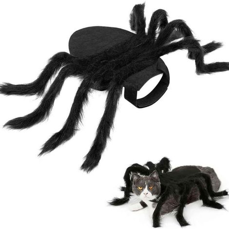 Déguisement d'araignée d'Halloween pour chiens et chats, noir (sans bordure en fourrure), décoration de fête (1/5)