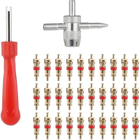 Démonte-pneus pneumatique pour valves de pneus – Kit complet de 32 pièces comprenant 30 valves de rechange pour vélos et voitures, outils de réparation professionnels