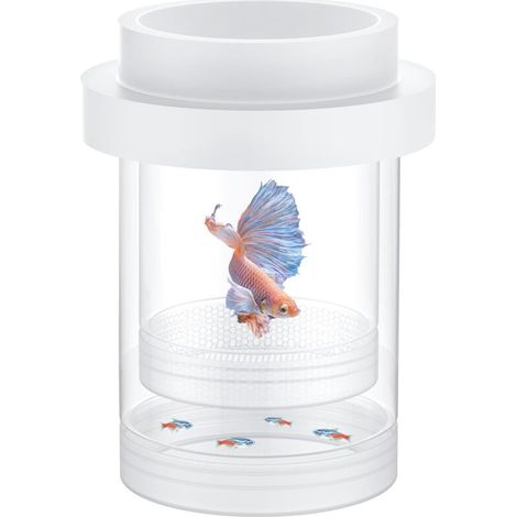Aquarium Breeding Box, Floating Guppy Breeding Box, Fry Separator, Plastic Incubator for Shrimp, Betta and Clownfish (Large) (1/5)