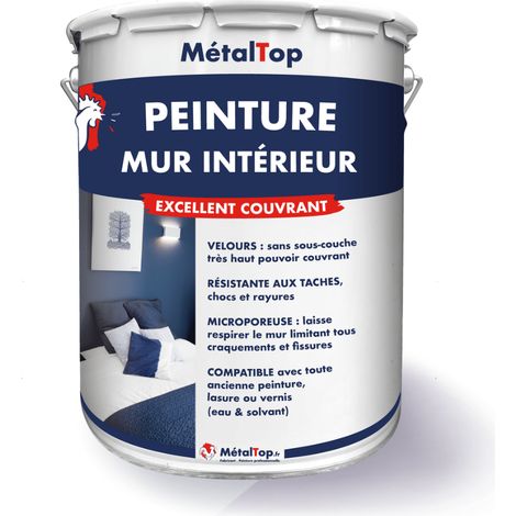 Peinture Mur Intérieur - Ivoire - Ton pierre - RAL 1015 - 5 L - Métaltop (1/5)