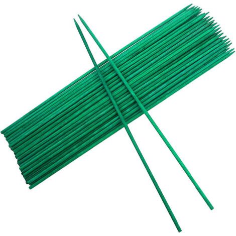 QORVA-30PCS Tuteurs pour Plantes 40 cm Tuteurs en Bois bâtons Support piquets de Jardin avec 30 Attaches torsadées, Support Tuteurs pour Plantes pour Jardin ou Maison