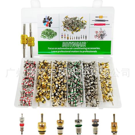 Kit d'assemblage de noyau de valve de climatisation automobile 134a, accessoires, compatible Buick, Fukang et Citroën, respectueux de l'environnement R12 (1/4)