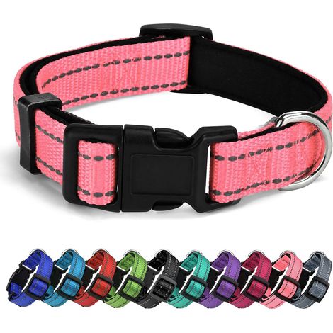 Collier en Nylon épais,Collier Classique Ajustable en Plusieurs Couleurs,adapté aux Petits,Moyens et Grands Chiens,4 Tailles. (1/3)