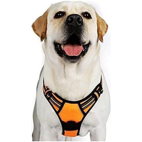 Harnais Chien XL Arnais Orange Anti Traction Réfléchissant Gilet Réglable pour Chien Grand Taille, Attache Devant Crochet de Laisse pour Trajet Voiture, American Staff, Border Collier-Ensolei (1/5)