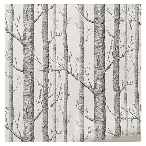 FENOPLASTICABouleau arbre papier peint décor moderne papier peint rouleau forêt bois papiers peints pour chambre (1/2)