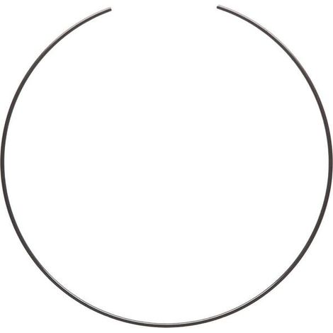 Sicherungsring CI125233 CARRARO CI125233