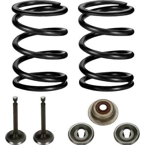 Compatible avec les motos à moteur clone OHV Predator 196cc, 212cc et 224cc à chambre de combustion non hémisphérique GX160 et GX200 6,5 ch, kit de ressorts de soupape de course de 18 livres. (1/5)